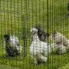 Extension de 1m pour enclos 2 m poulailler surélevé 8-15 poules Extension de 1m pour enclos 2 m poulailler surélevé 8-15 poules