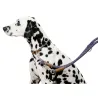 Collier pour chien en corde 30 - 40 cm Collier pour chien en corde 30 - 40 cm