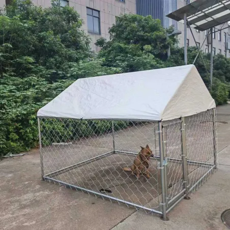 Enclos extérieur galvanisé avec toile imperméable 2x2x1,6 m Enclos extérieur galvanisé avec toile imperméable 2x2x1,6 m