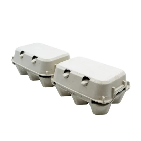 Lot de 124 Boîtes 2X6 oeufs carton à l'unité Lot de 124 Boîtes 2X6 oeufs carton à l'unité