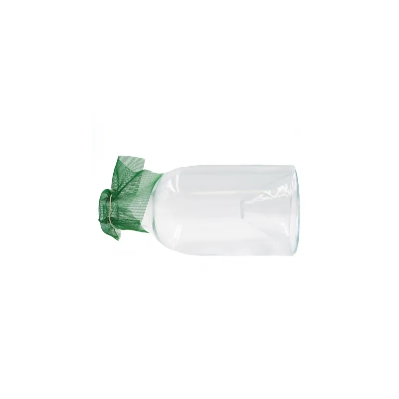 Carafe à vairons verre 2L fond en fome de goulet