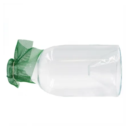 Carafe à vairons verre 2L fond en fome de goulet
