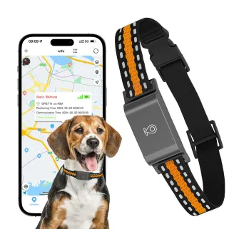 Traceur GPS 4G temps réel pour animaux - Application gratuite