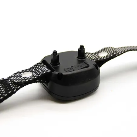 Collier anti-fugue DE 10 taille ajustable noir USB