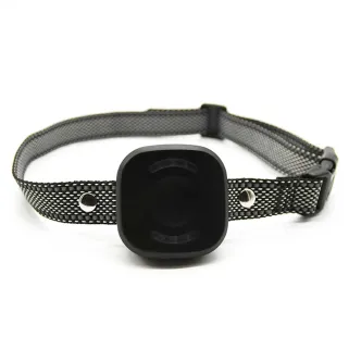 Collier anti-fugue DE 10 taille ajustable noir USB
