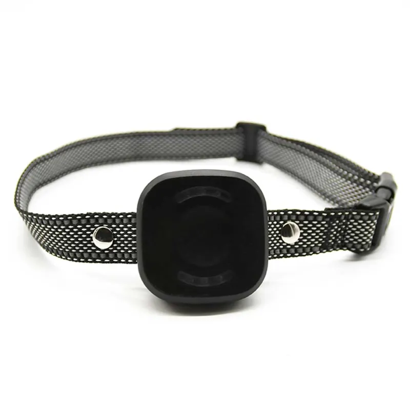 Collier anti-fugue DE 10 taille ajustable noir USB
