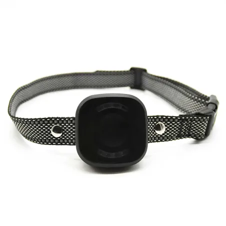 Collier anti-fugue DE 10 taille ajustable noir USB