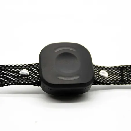 Collier anti-fugue DE 10 taille ajustable noir USB