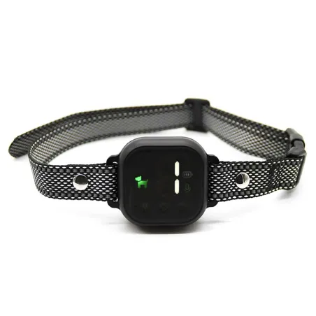 Collier anti-aboiements 8 niveaux rechargeable USB IP67