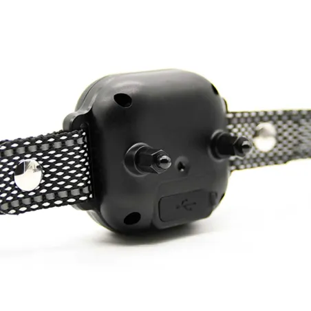 Collier anti-aboiements 8 niveaux rechargeable USB IP67 Collier anti-aboiements 8 niveaux rechargeable USB IP67