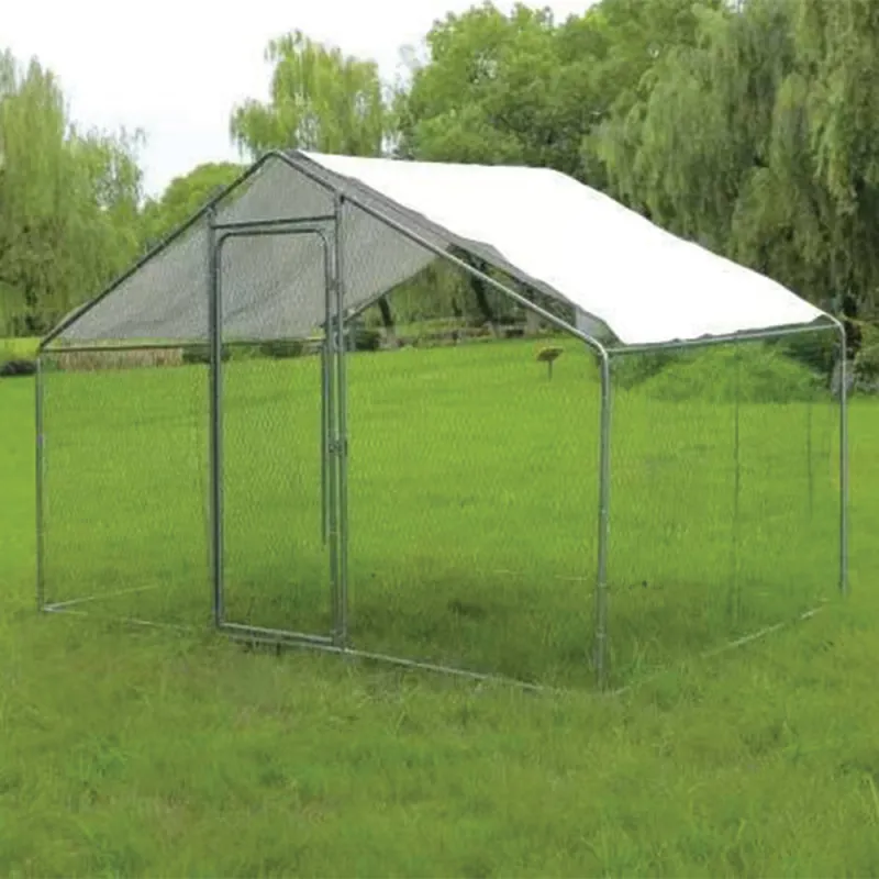 Enclos à volailles 6 m² avec toit étanche et cadre renforcé