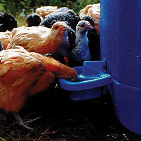 Abreuvoir Automatique Maxi Cup Abreuvoir Automatique Maxi Cup