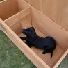 Niche isolée pour chien en bois – Extérieur été/hiver – 4 tailles
