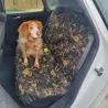 Set Housses de Voiture toile polyester noire et mousse Camo CE Set Housses de Voiture toile polyester noire et mousse Camo CE