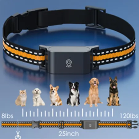 Collier traceur GPS 4G pour animaux - IP65 - Application gratuite