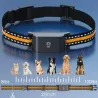 Collier traceur GPS 4G pour animaux - IP65 - Application gratuite