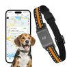 Collier traceur GPS 4G pour animaux - IP65 - Application gratuite