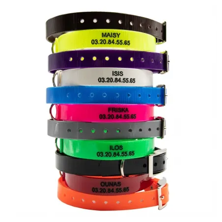 Colliers à graver dans la masse BIOGOLD petit chien et chiot 11 couleurs Colliers à graver dans la masse BIOGOLD petit chien et chiot 11 couleurs
