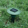 Anti-taupe solaire à ultra-sons à l'unité
