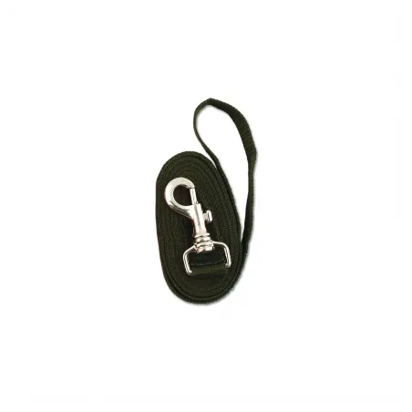 Laisse chien 1,50 m kaki largueur 25 mm