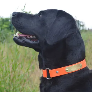 Collier à graver sur plaque Beta Taille 3 orange