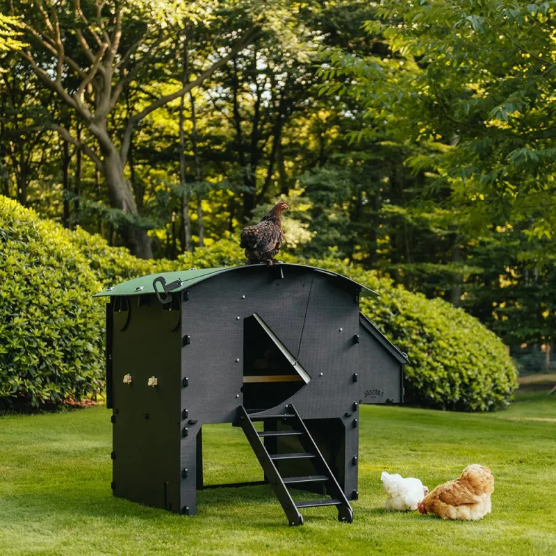 Poulailler surélevé en plastique recyclé 8 à 15 poules