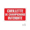 Lot de 5 Panneaux CUEILLETTE CHAMPIGNONS Alu 30 x 20cm