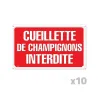 Lot de 10 Panneaux CUEILLETTE CHAMPIGNONS Akilux 26x20cm