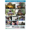 DVD : Carpes Difficiles : Techniques et Stratégies