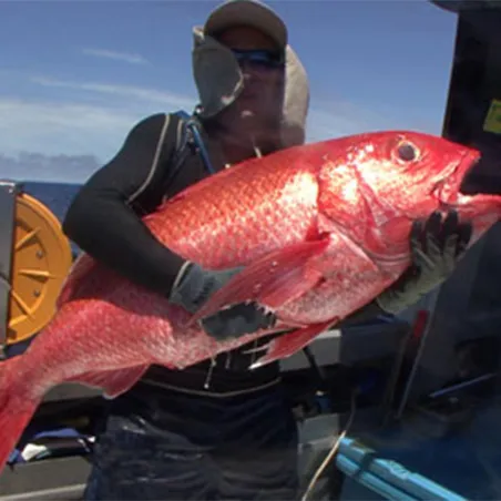 Lot 2 DVD: Pêche des profondeurs