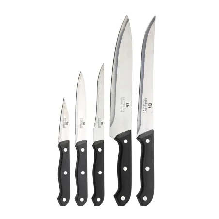 Bloc 5 Couteaux acier inoxydable + 1 ciseaux
