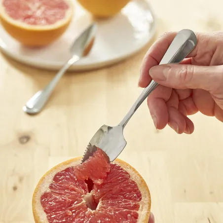 Cuillères à pamplemousse Pradel France Acier inoxydable x2