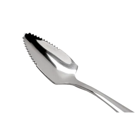 Cuillères à pamplemousse Pradel France Acier inoxydable x2