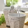 Cuillères chat Pradel France Acier inoxydable Cuillères chat Pradel France Acier inoxydable
