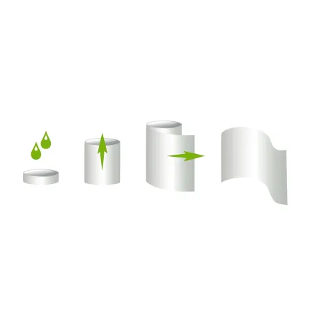 10 Lingettes magiques biodégradables