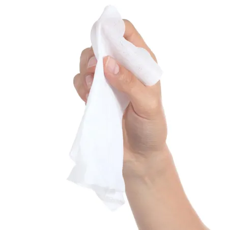 10 Lingettes magiques biodégradables