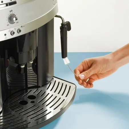 Petites Brosses (Lot de 7)