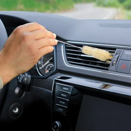 Petites Brosses (Lot de 7)