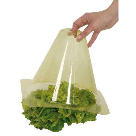 Cloches à salades x 12 Serre de protection pour plants Cône de forçage diamètre 23 cm