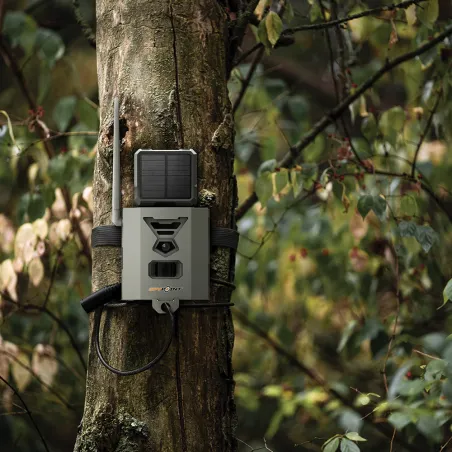 Boîtier sécurité FLEX SB-500 acier HQ serrure pour protection Boîtier sécurité FLEX SB-500 acier HQ serrure pour protection