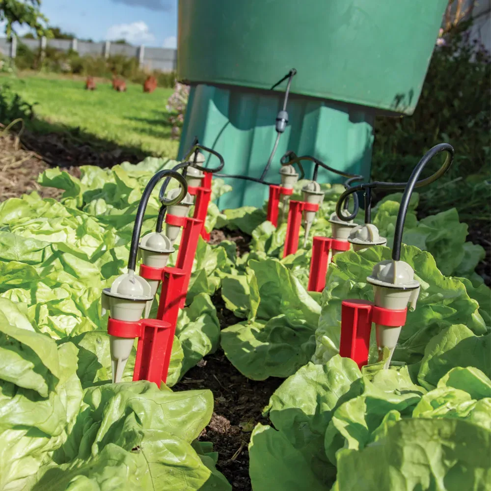 Irrigation économique Bâtonnets D'irrigation Goutte-à-goutte Suinga - Lot De 50 - Débit 2,6 L/h - Pour économie D'eau Au Jardin Arrosage Goutte à Goutte Suinga Irrigation économique Bâtonnets D'irrigation Goutte-à-goutte Suinga - Lot De 50 - Débit 2,6 L/h - Pour économie D'eau Au Jardin Arrosage Goutte à Goutte Suinga