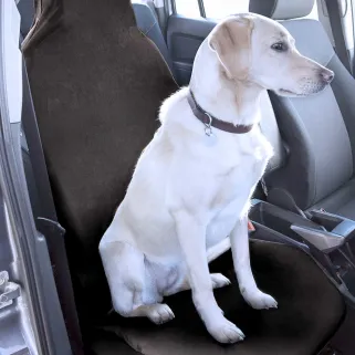 Housse siège avant universelle 100% imperméable rangement compact