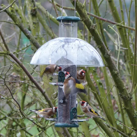 Mangeoire oiseau spécial chardonneret métal Mangeoire oiseau spécial chardonneret métal