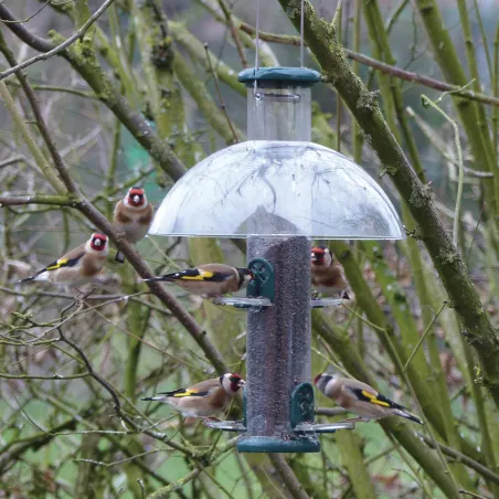 Mangeoire oiseau spécial chardonneret métal Mangeoire oiseau spécial chardonneret métal