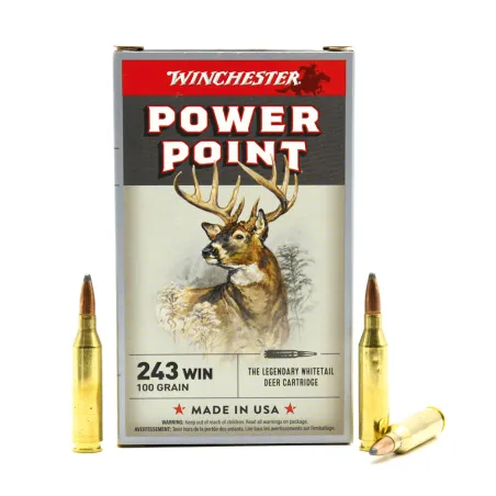 Boite de 20 Balles Power-point Super X pointe molle plomb 243 win