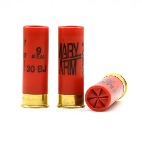 Boite de 25 cartouches PUMA bourre jupe 30g 16/67 pb 9