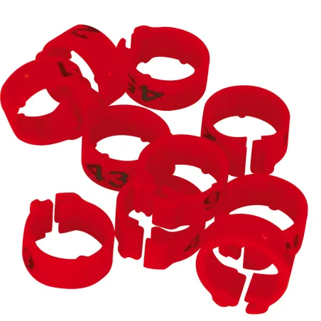 Bagues Spécial Pigeon Marquage Laser Indélébile numérotées vert