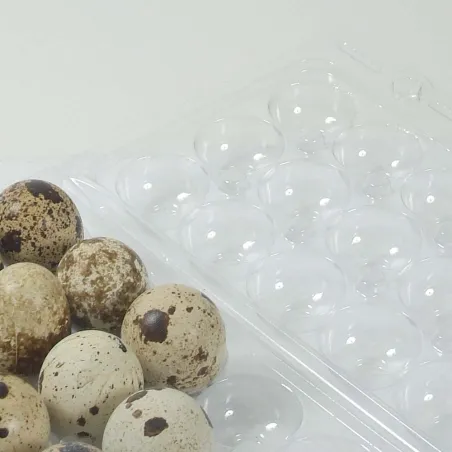 Boites à oeufs de caille plastique 18 oeufs lot de 125