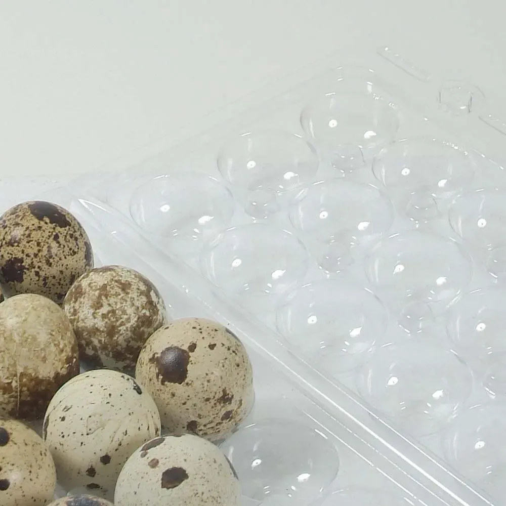 Boites à oeufs de caille plastique 18 oeufs lot de 500 conditionnement oeufs