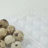 Boites à oeufs de caille plastique 18 oeufs lot de 125